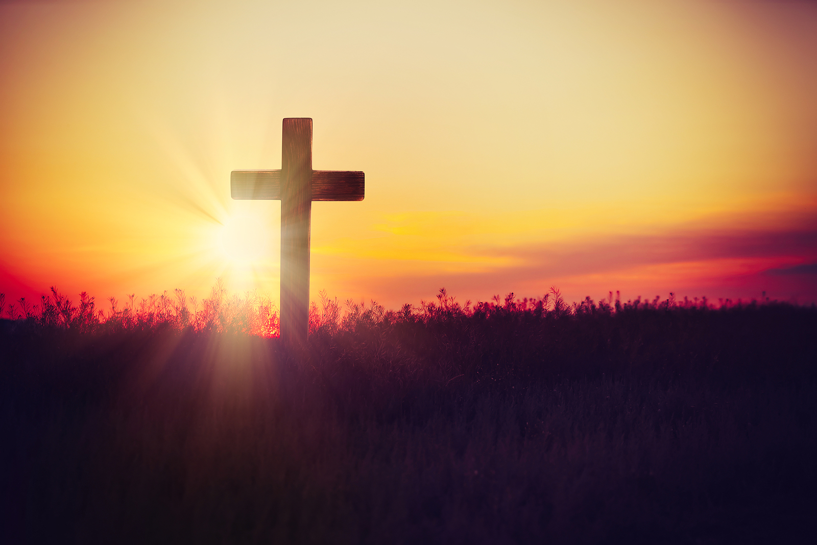 A Living Sacrifice - Christian Genesis - Daily Devotional